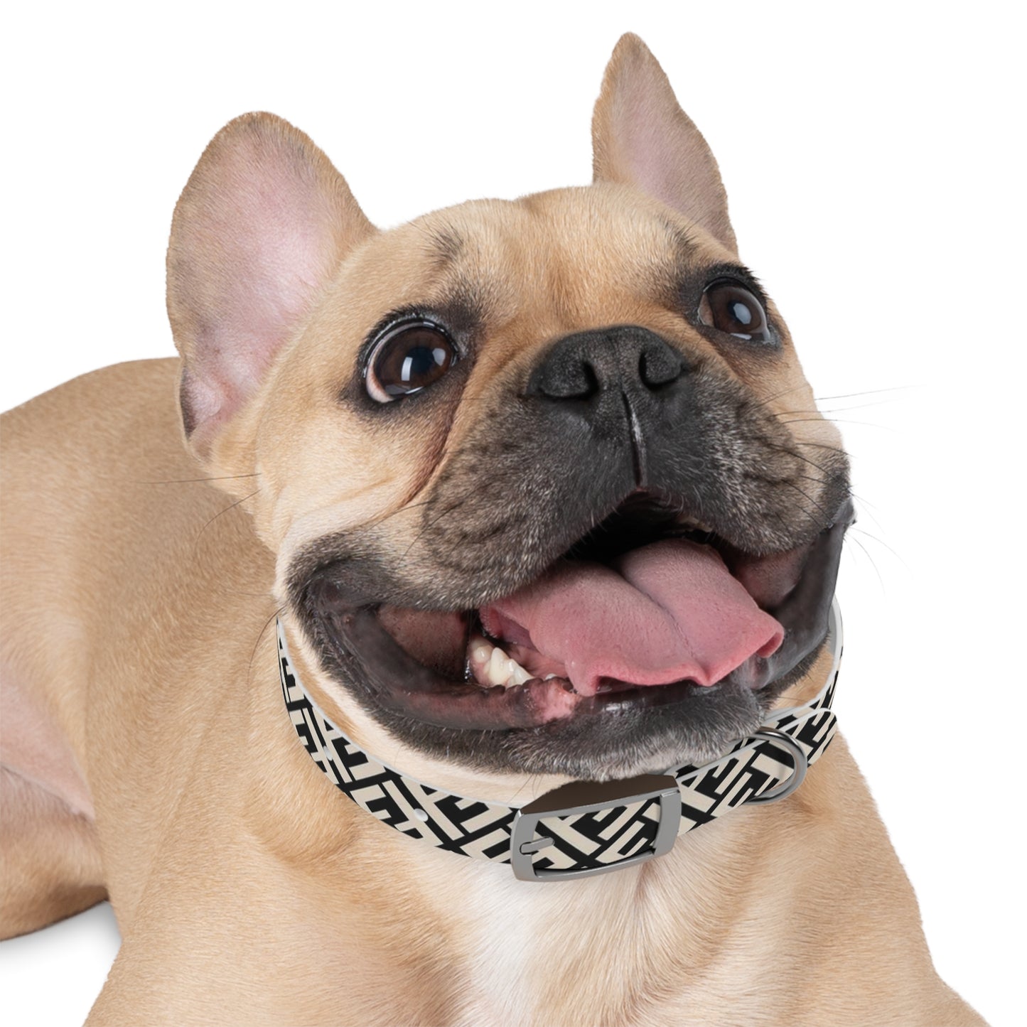 Furdi Dog Collar