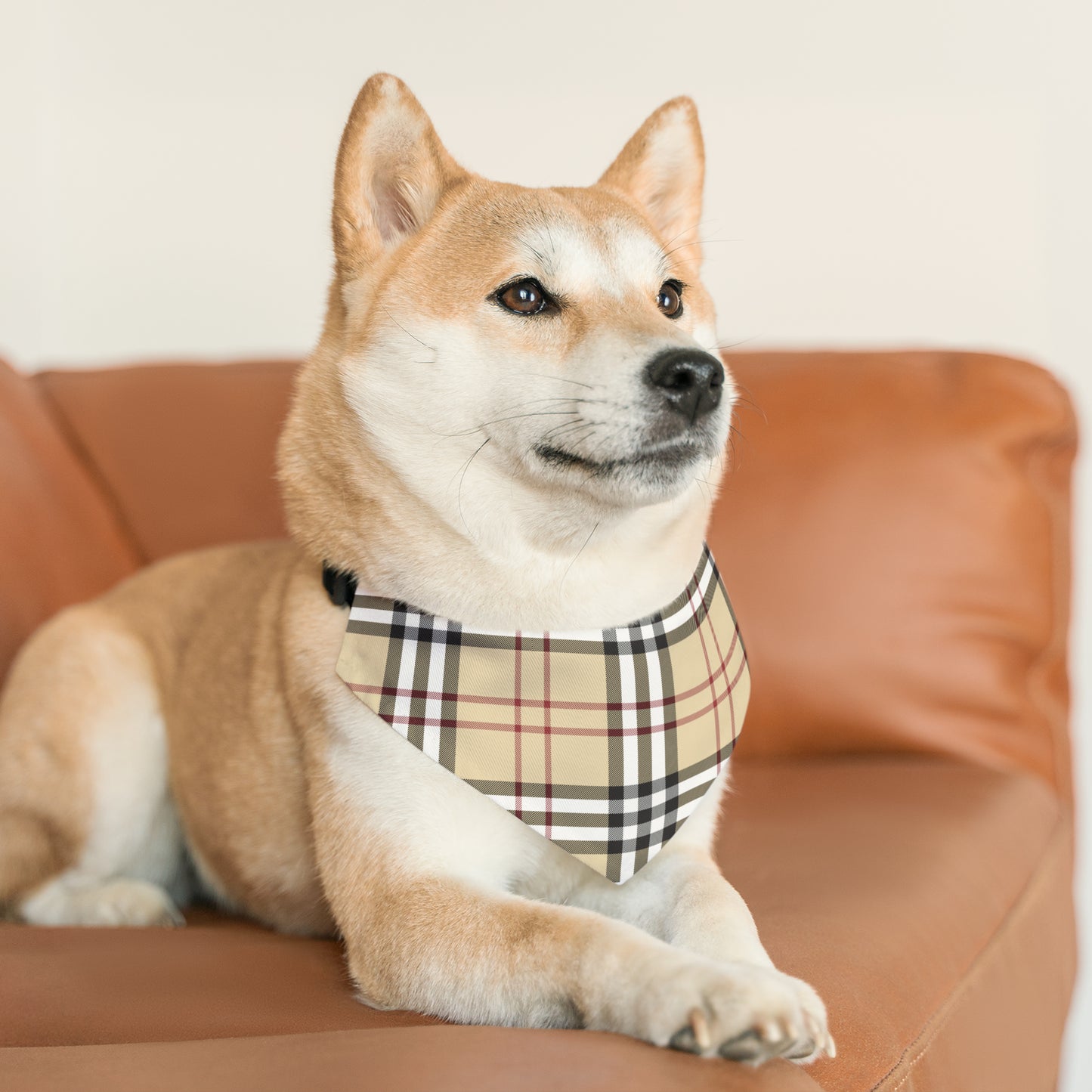 Pet Bandana Collar