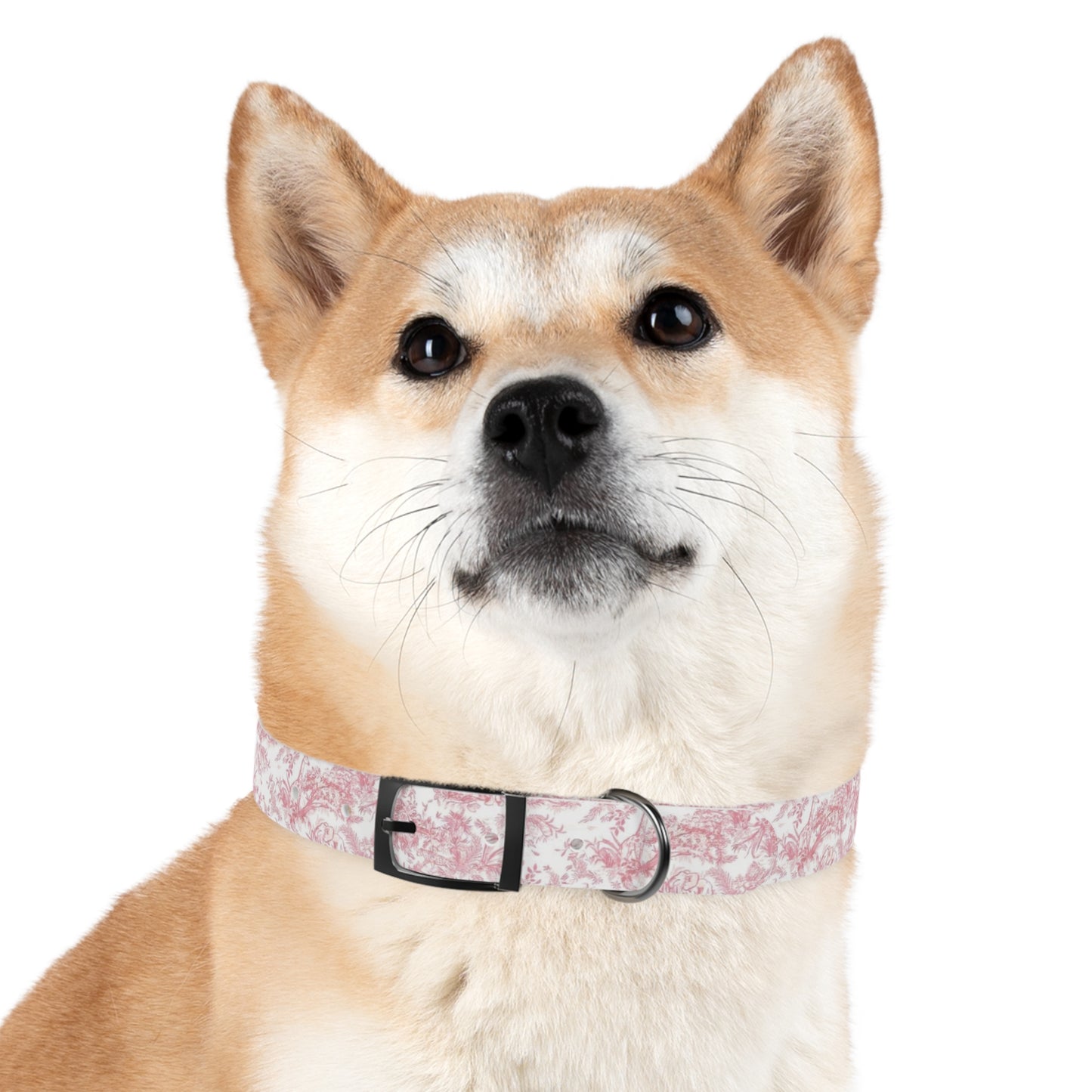 Diog Fancy Collar