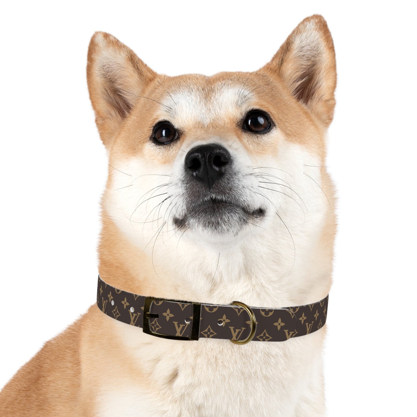 Louis Pawtton Designer dog Collar