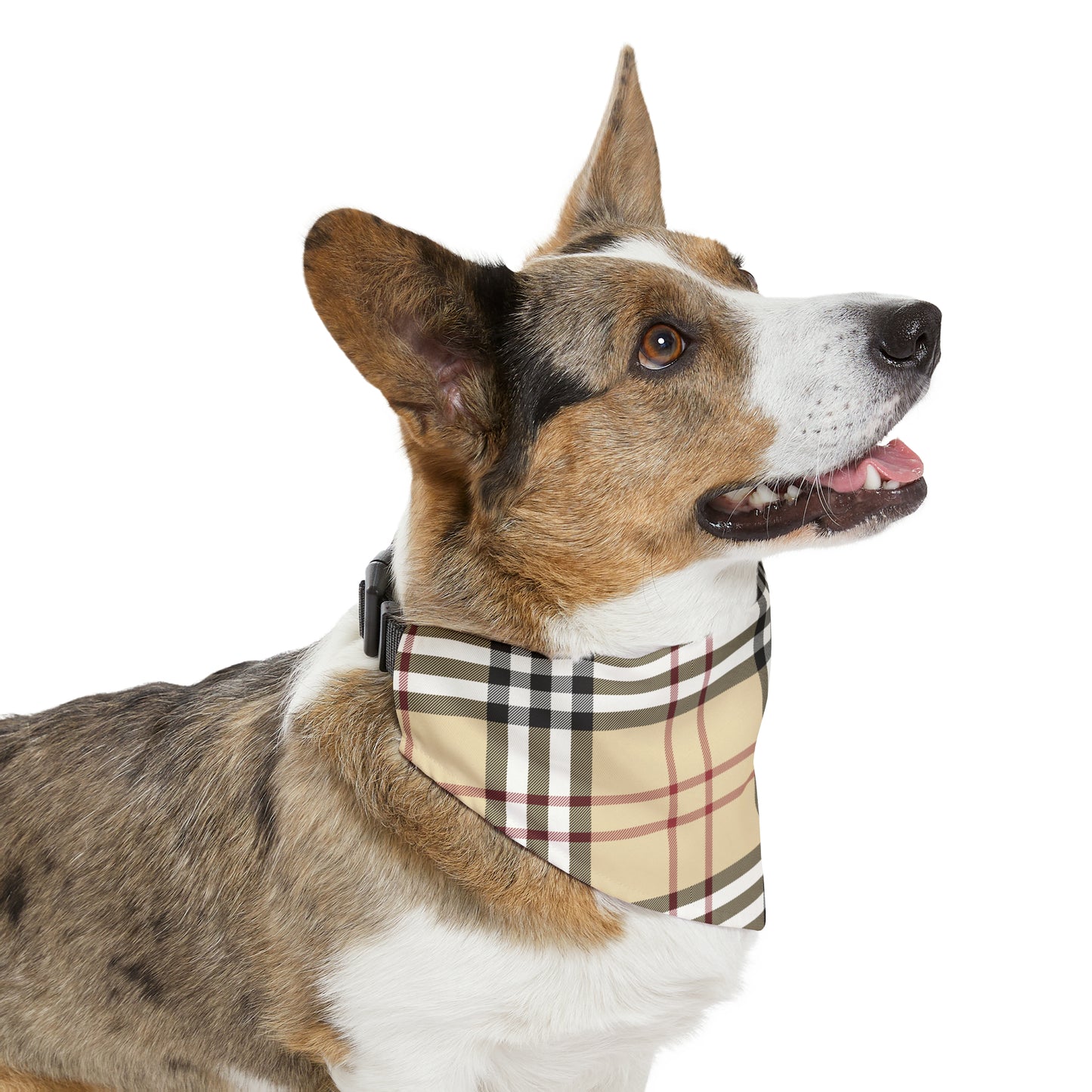 Pet Bandana Collar