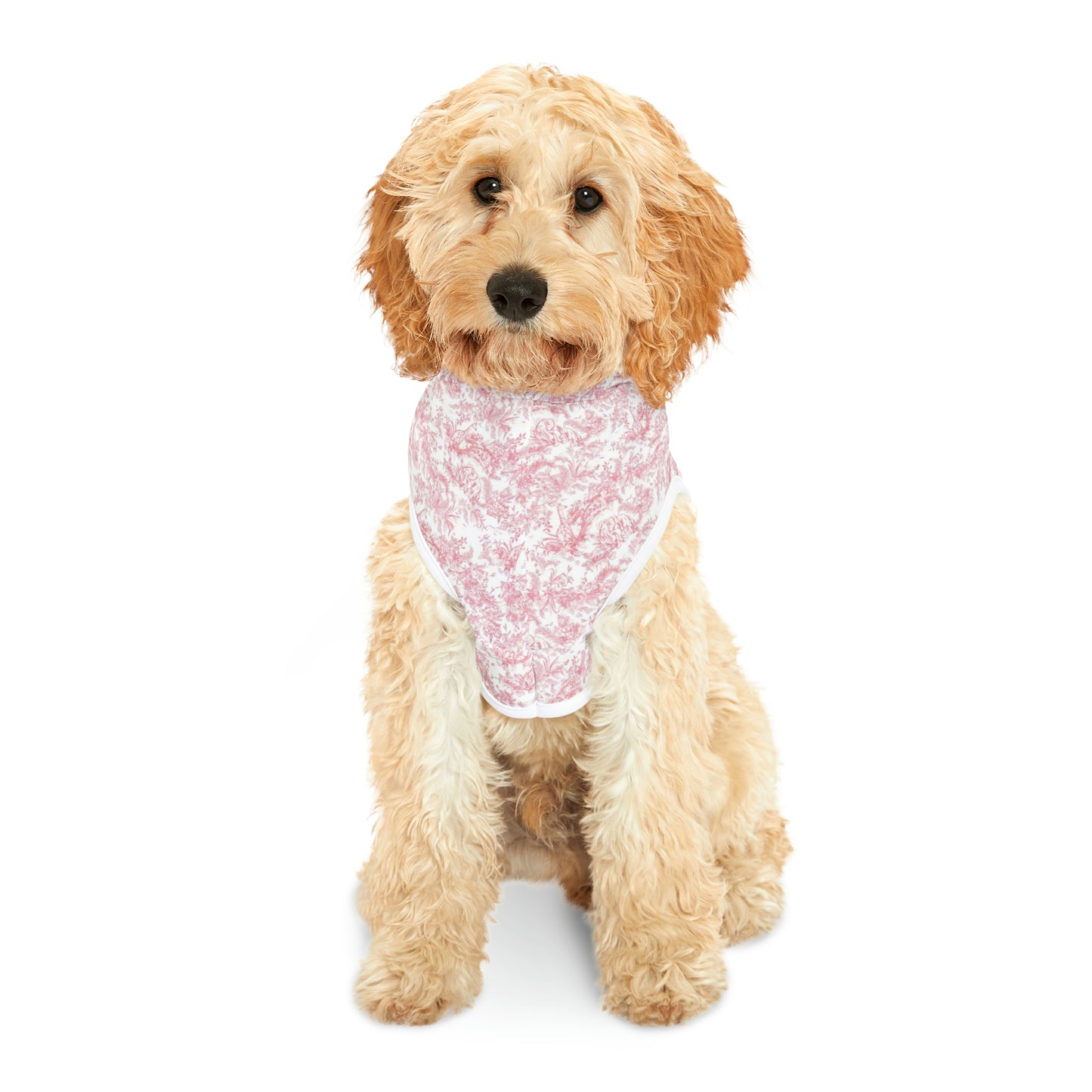 Diog Luxury Pet Hoodie