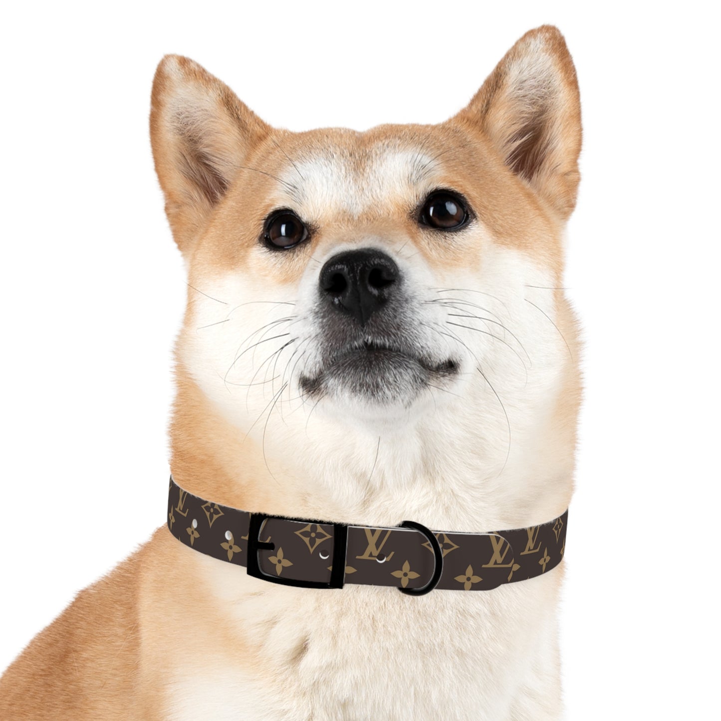 Louis Pawtton Designer dog Collar