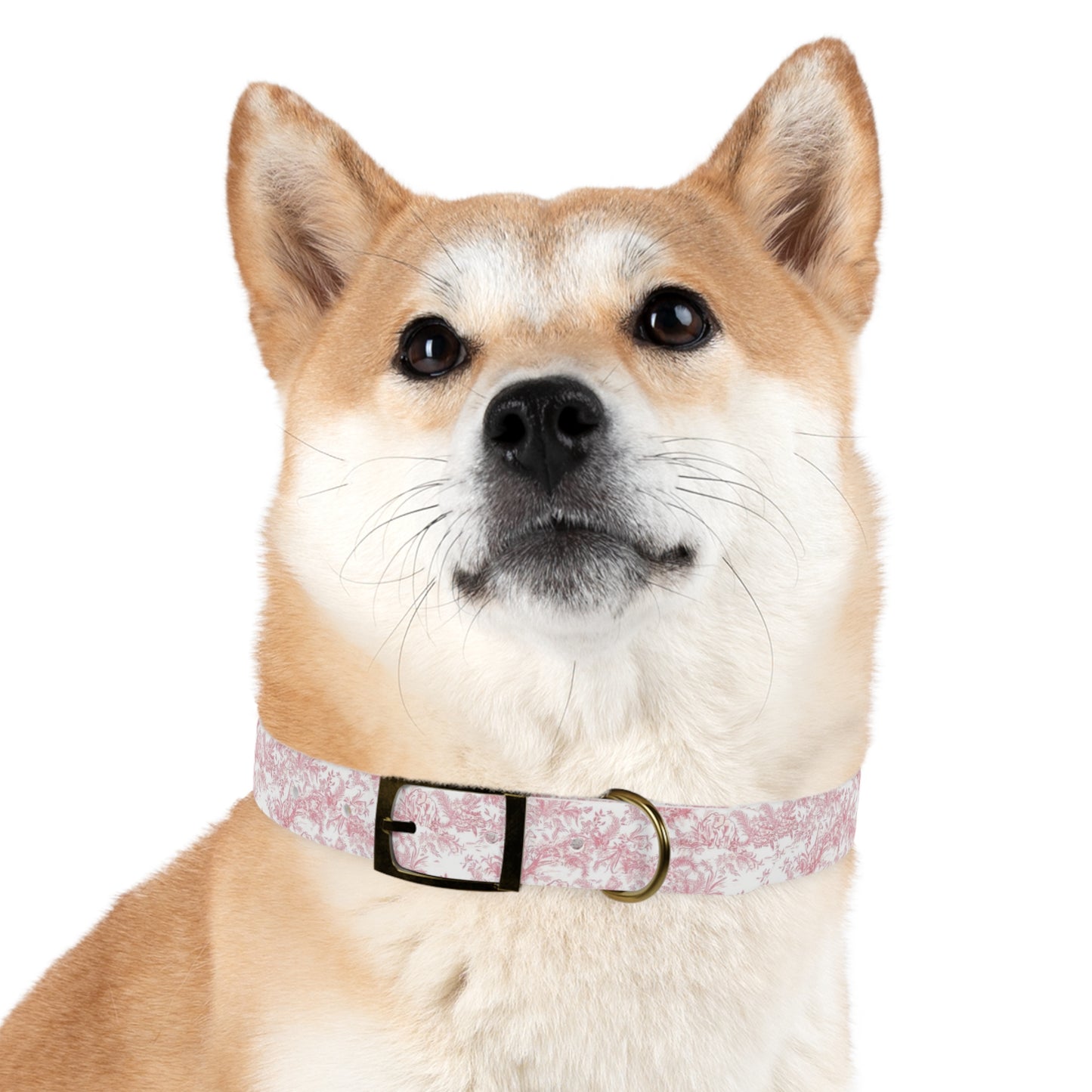 Diog Fancy Collar