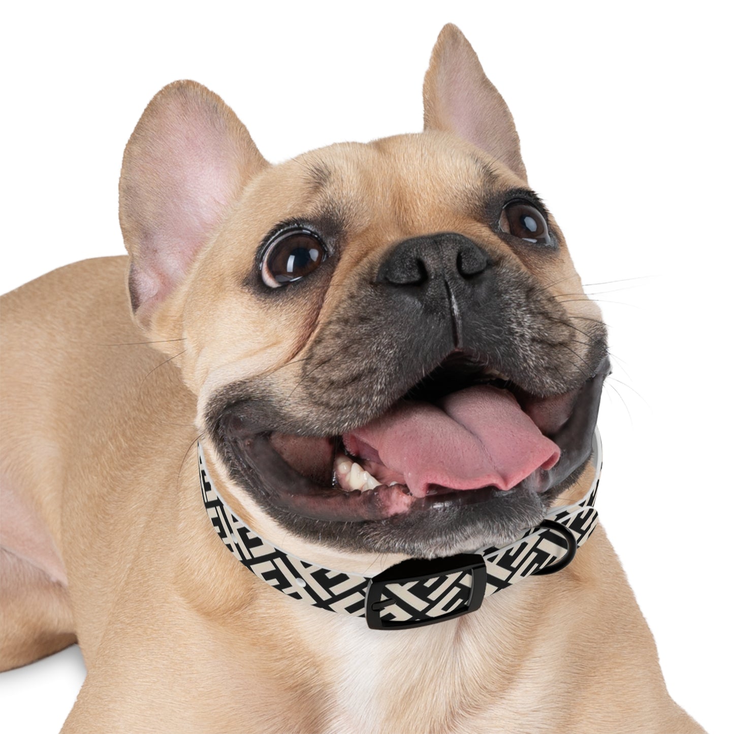 Furdi Dog Collar