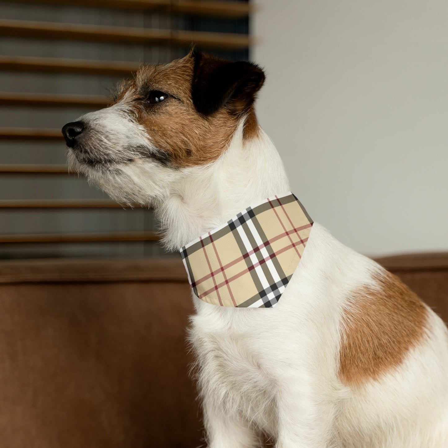 Pet Bandana Collar