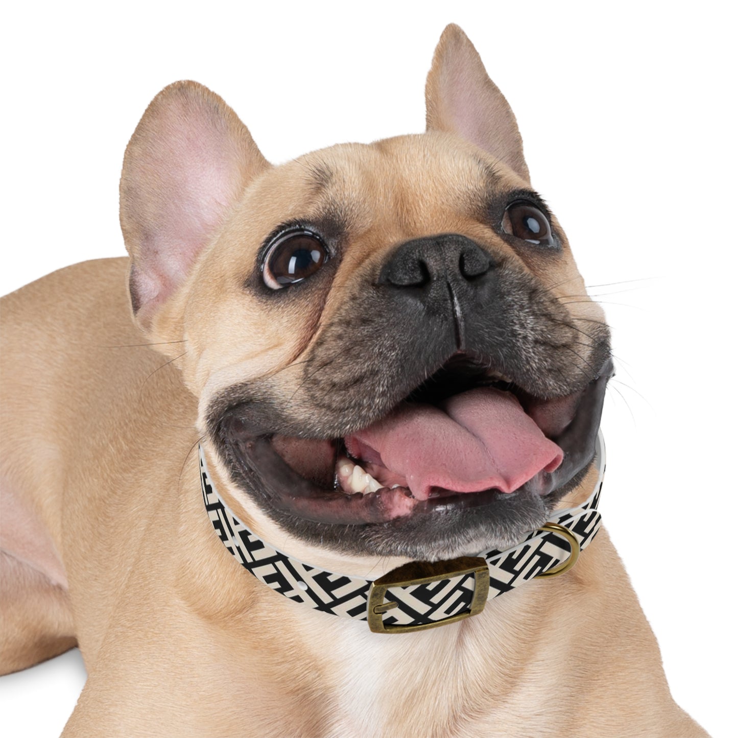 Furdi Dog Collar