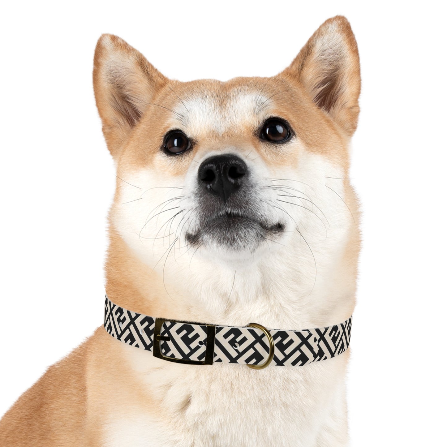 Furdi Dog Collar