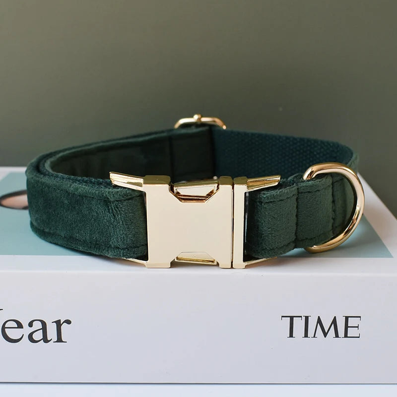 Pet Collar Leash