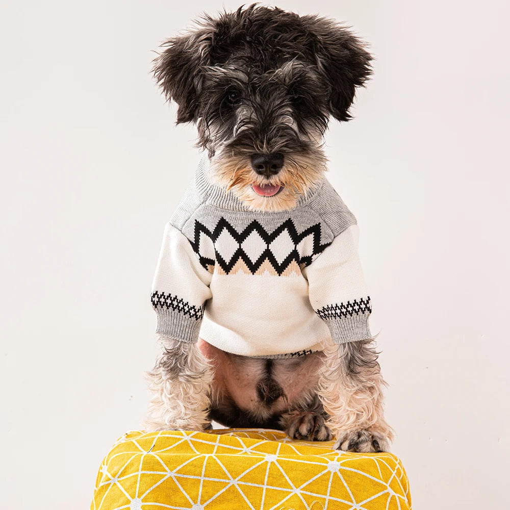 Dog Sweater Luxury Trendy