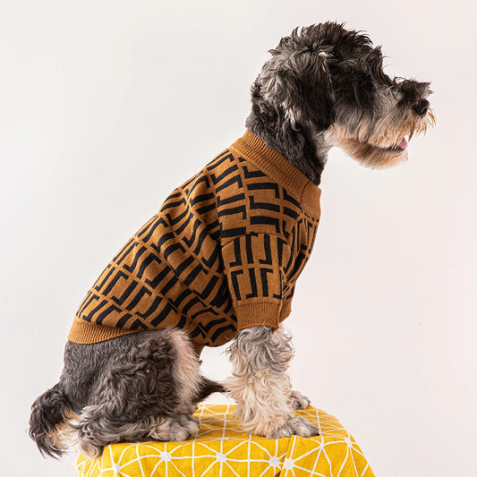 Fendi hot sale dog sweater