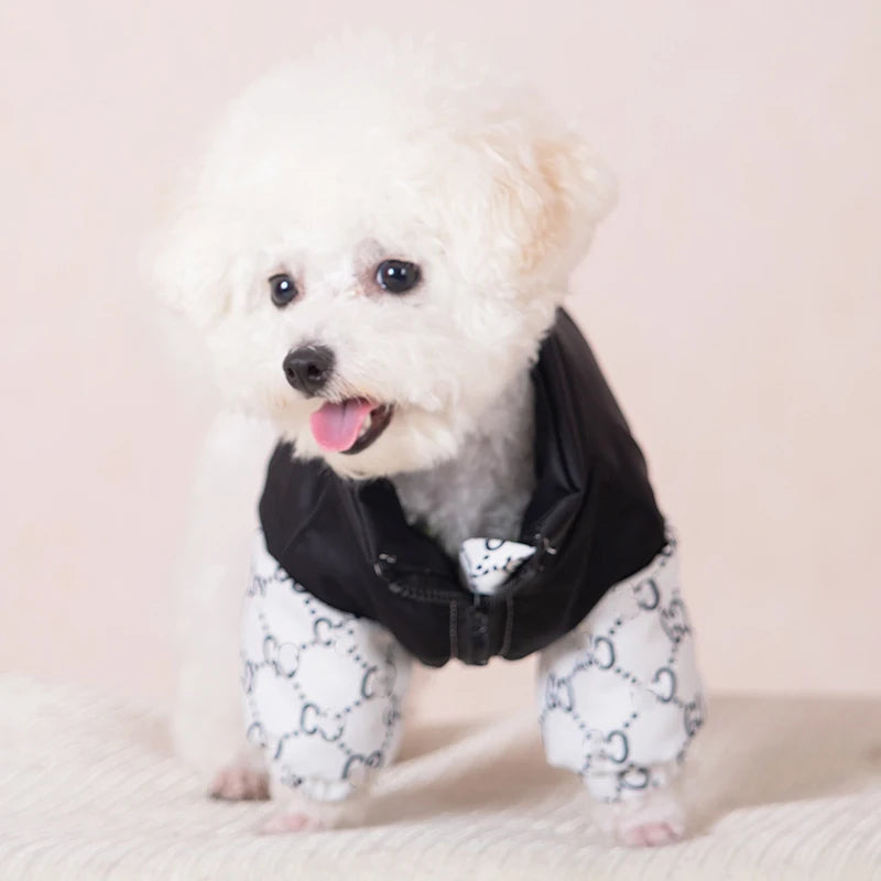 Dog Clothes Luxury Designer Pet Winter